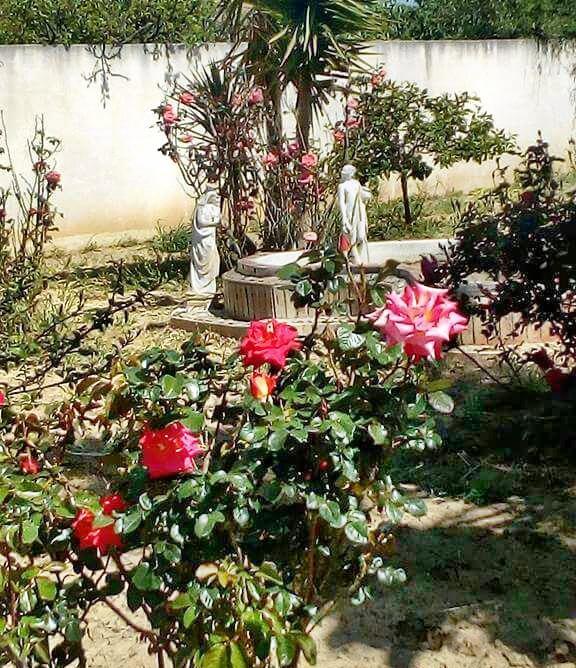 Villaggio Mosè Villa Rosa Maria المظهر الخارجي الصورة